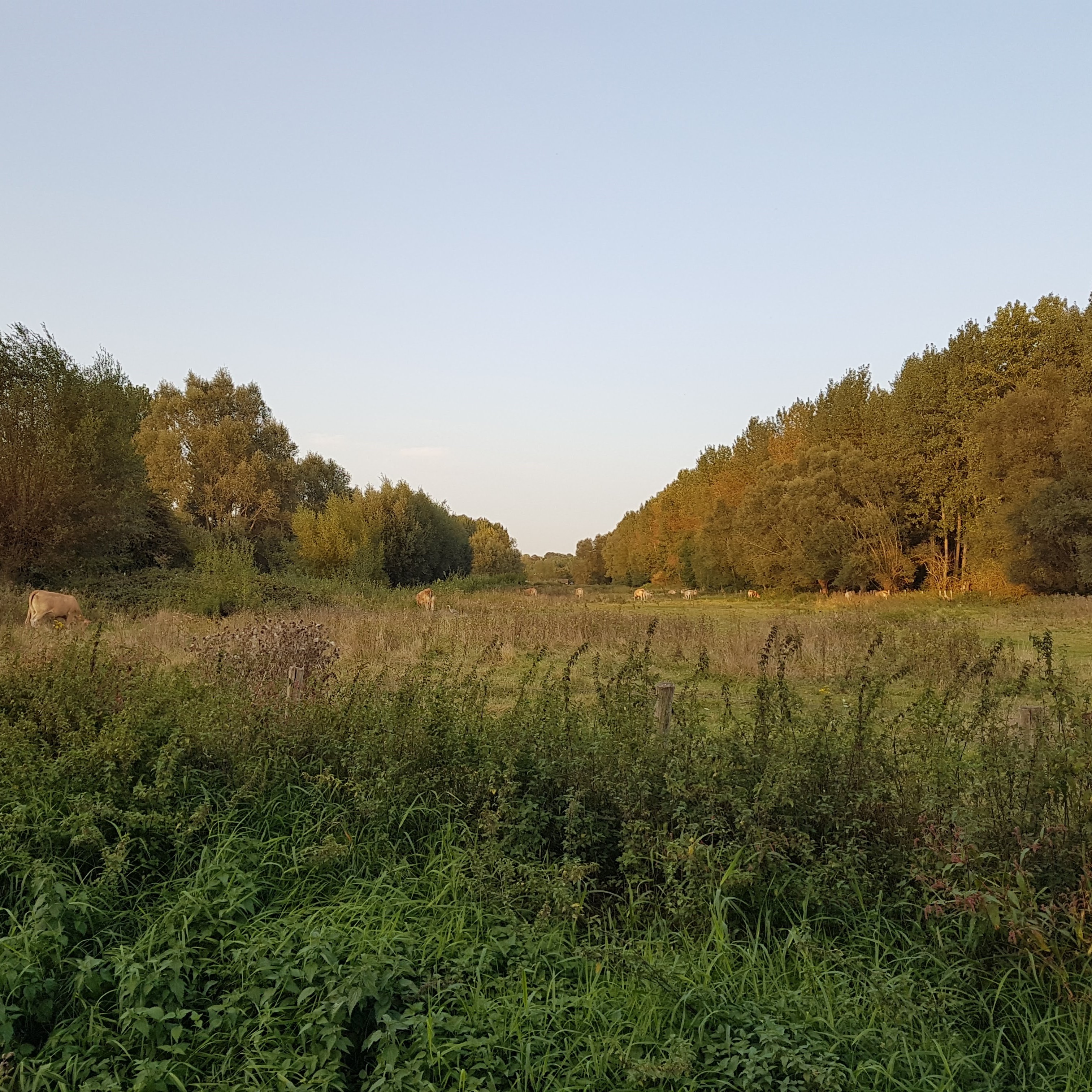 Beschrijving foto 4